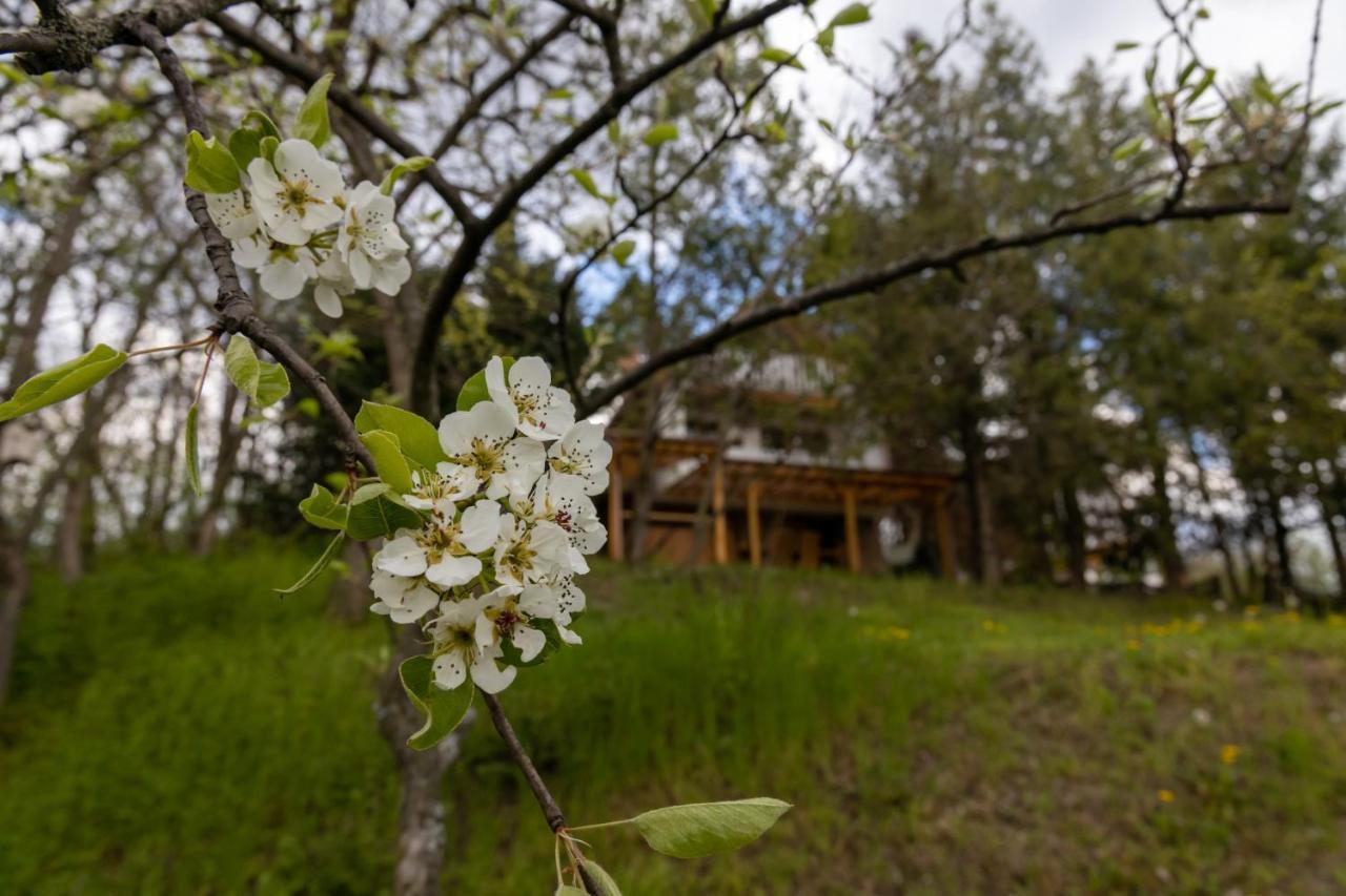 Egercottages - Csillag Cottage 외부 사진