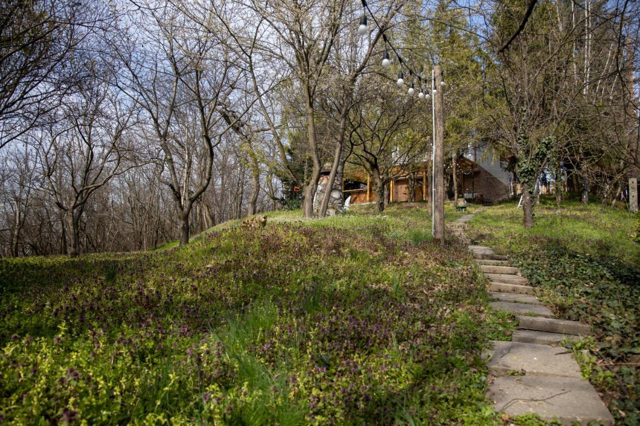 Egercottages - Csillag Cottage 외부 사진